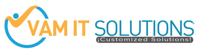 VAM IT Solutions